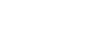 Perth Wildcats Logo